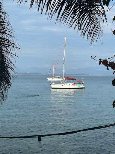 Photo from customer review