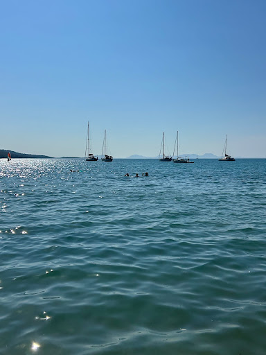 Photo from customer review