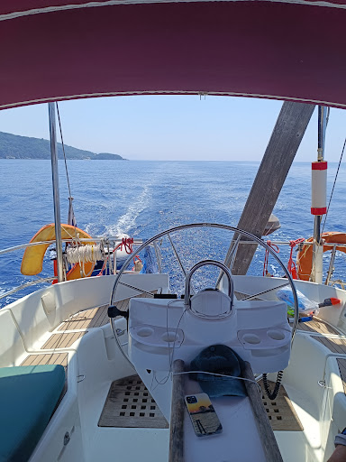 Photo from customer review