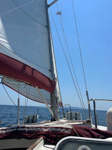 Photo from customer review